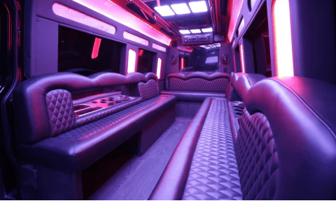 Broken Arrow 14 Passenger Sprinter Bus Interior